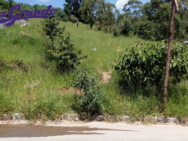 #117 - Área para Venda em São Paulo - SP