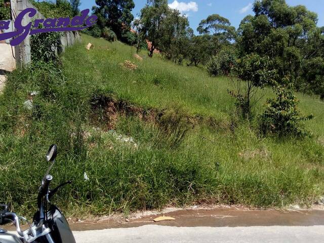 Área para Venda em São Paulo - 4
