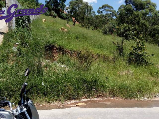 #117 - Área para Venda em São Paulo - SP