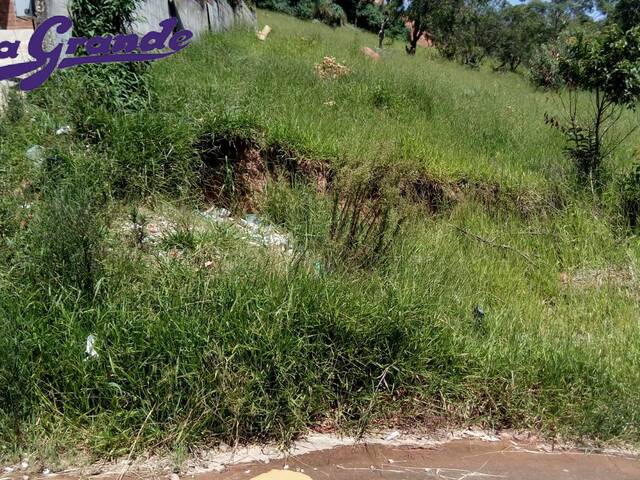 #117 - Área para Venda em São Paulo - SP