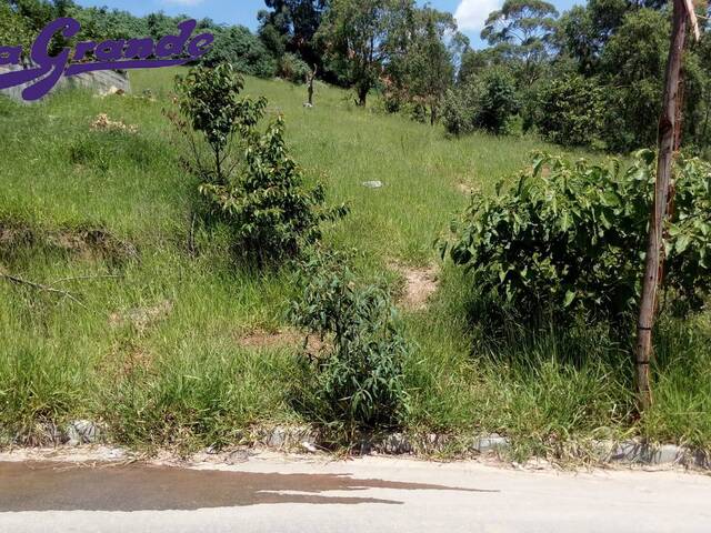Área para Venda em São Paulo - 5