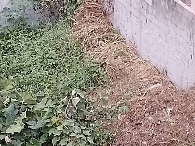 #123 - Área para Venda em Francisco Morato - SP