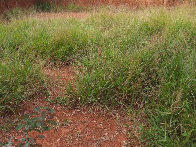 Área para Venda em Francisco Morato - 4