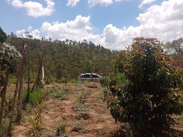 Área para Venda em Francisco Morato - 5