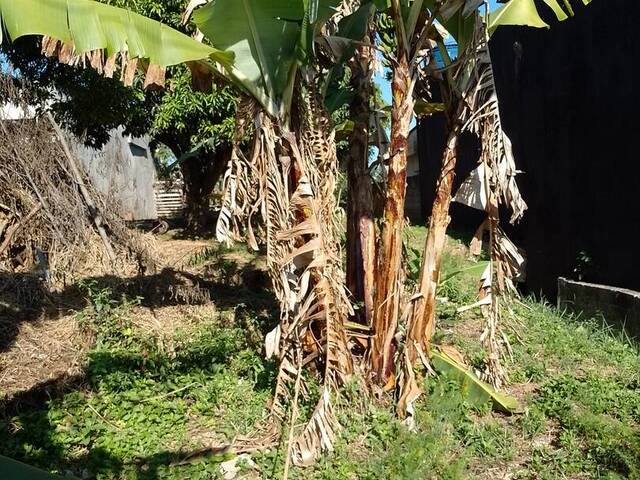 Área para Venda em Francisco Morato - 4