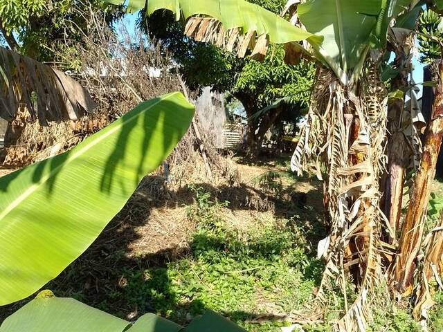 Área para Venda em Francisco Morato - 5