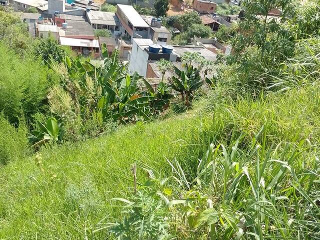 Área para Venda em Francisco Morato - 4