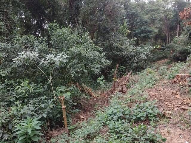Área para Venda em Francisco Morato - 5