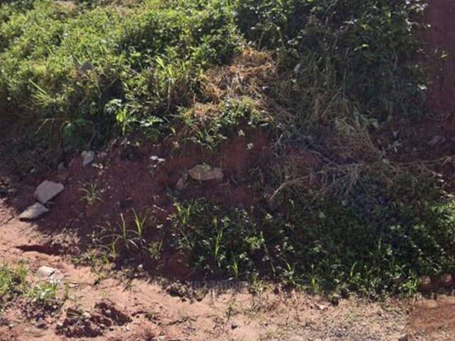#268 - Área para Venda em Francisco Morato - SP