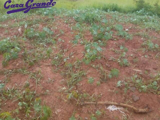 #524 - Área para Venda em Francisco Morato - SP