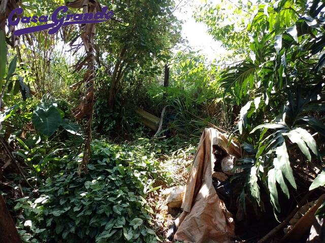 Área para Venda em Francisco Morato - 4