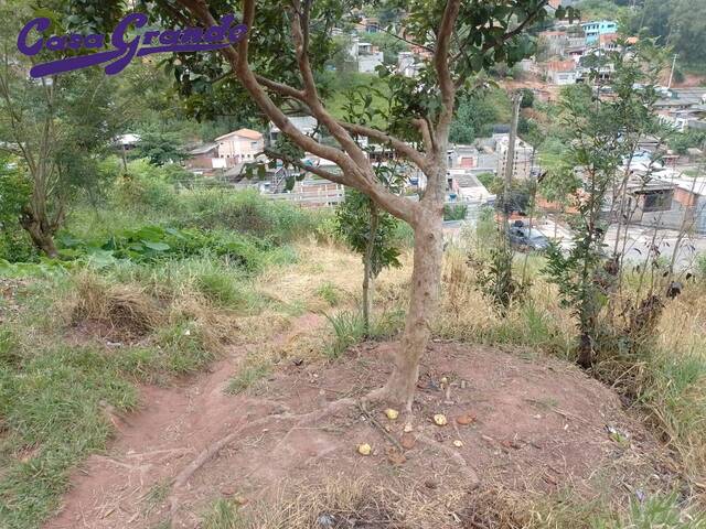 Área para Venda em Francisco Morato - 4