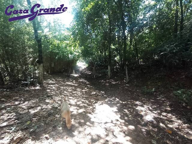 #535 - Área para Venda em Francisco Morato - SP