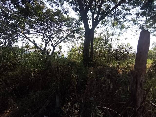 #554 - Área para Venda em Francisco Morato - SP