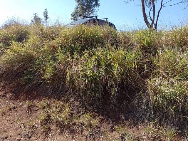 #570 - Área para Venda em Campo Limpo Paulista - SP