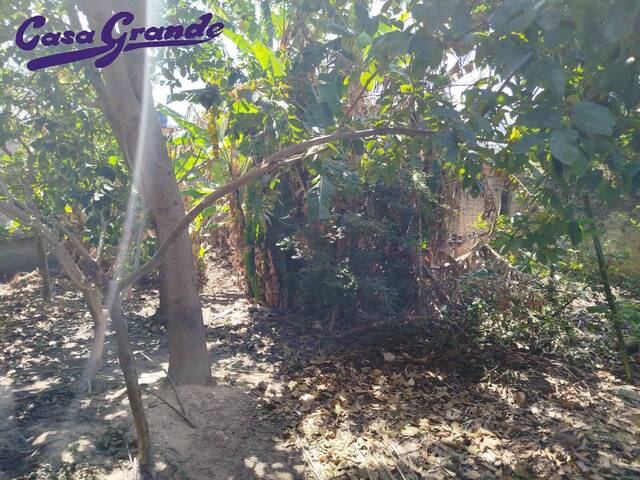 Área para Venda em Francisco Morato - 4