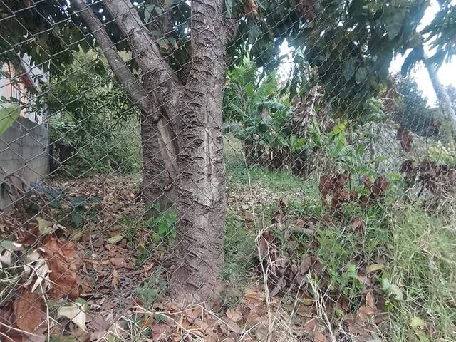 #579 - Área para Venda em Francisco Morato - SP