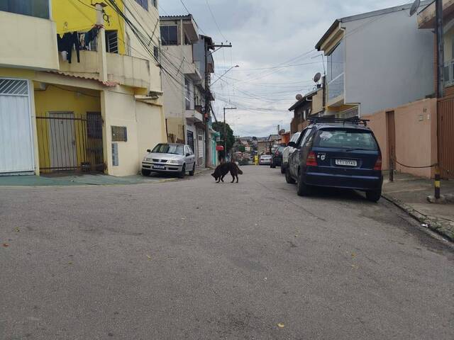 #609 - Área para Venda em Franco da Rocha - SP