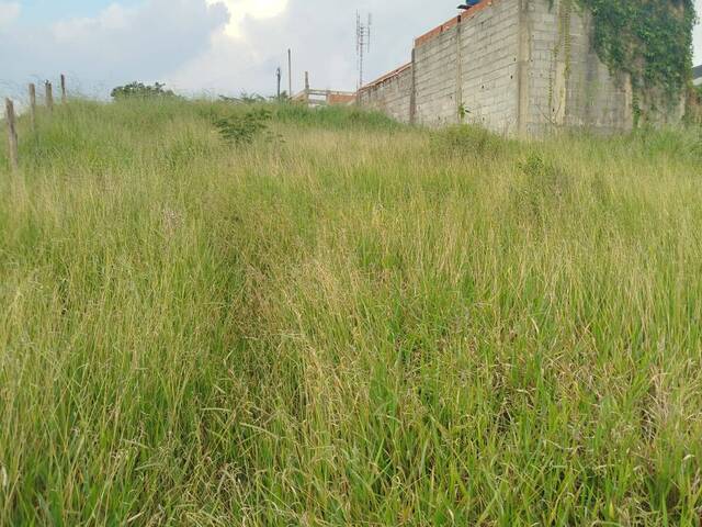 #643 - Área para Venda em Francisco Morato - SP