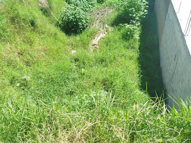 Área para Venda em Francisco Morato - 5