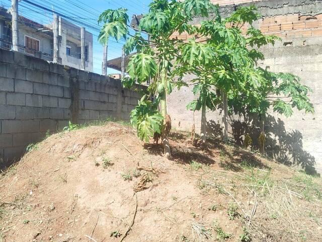 #650 - Área para Venda em Francisco Morato - SP