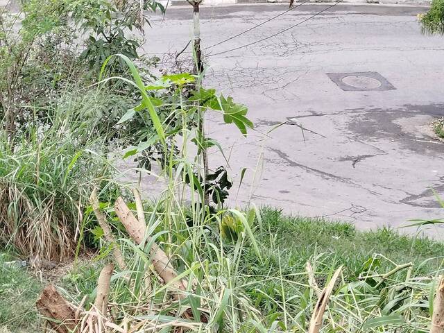 Área para Venda em Francisco Morato - 4